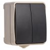Smartbuy SBE-04w-10-SW2-0 Выключатель 2-клавишный 10А, IP54