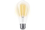Smartbuy SBL-ST64Art-25-40K-E27 Светодиодная (LED) Лампа ART