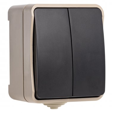 Фотография товара 'Smartbuy SBE-04w-10-SW2-0 Выключатель 2-клавишный 10А, IP54'