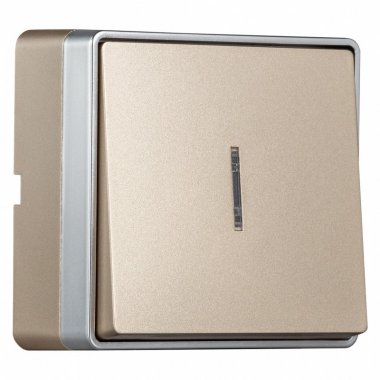 Фотография товара 'Smartbuy SBE-07c-10-SW1-1 Выключатель 1-клавишный с индикатором 10А'