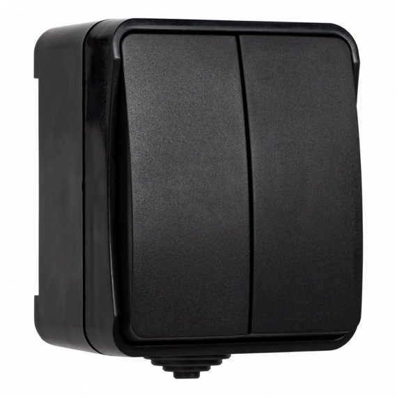 Фотография товара 'Smartbuy SBE-04b-10-SW2-0 Выключатель 2-клавишный 10А, IP54'