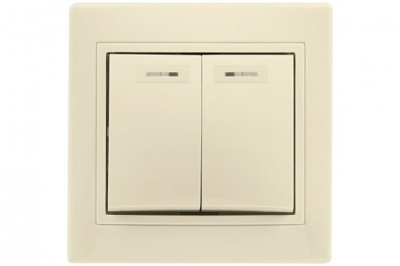 Фотография товара 'Smartbuy SBE-01i-10-SW2-1-c Выключатель 2-клавишный с индикатором 10А'