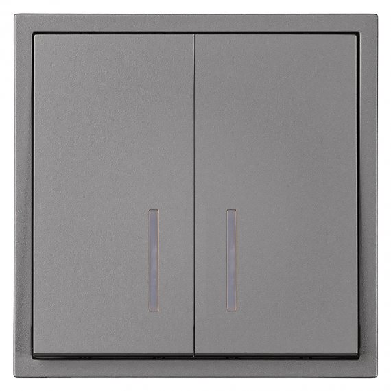 Фотография товара 'Smartbuy SBE-09g-10-SW2-1 Выключатель 2-клавишный с индикатором 10А'