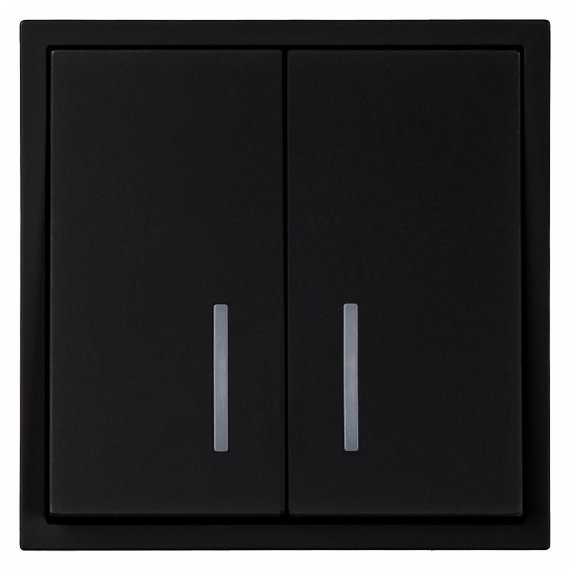 Фотография товара 'Smartbuy SBE-09b-10-SW2-1 Выключатель 2-клавишный с индикатором 10А'